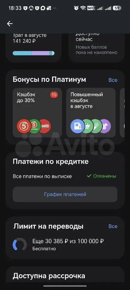 Результат работы: скриншот из банковского приложения, 2